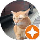 sesn 210 profile picture