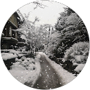 Sarah Fitzsimmons profile picture